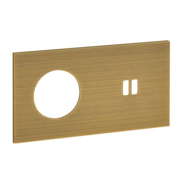 Plaque Prise 2P+T + Prise Chargeur USB 2 postes - Epure Bronze Art d'Arnould