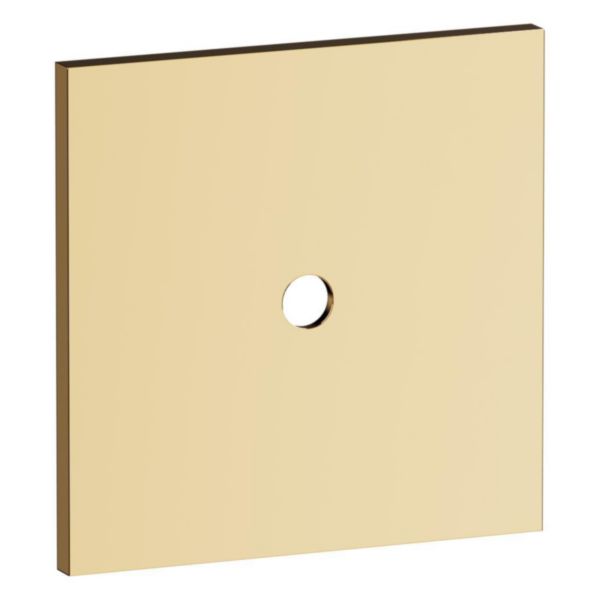 Plaque 1 poste bouton rond Epure acier brossé Art d'Arnould
