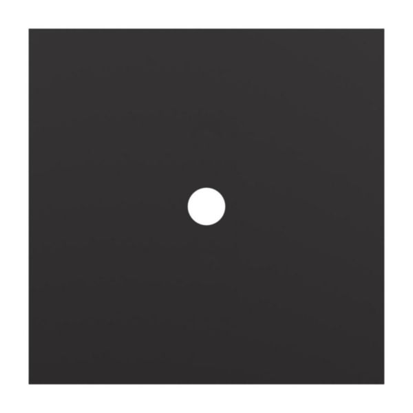 Plaque 1 poste bouton rond Epure noir mat Art d'Arnould