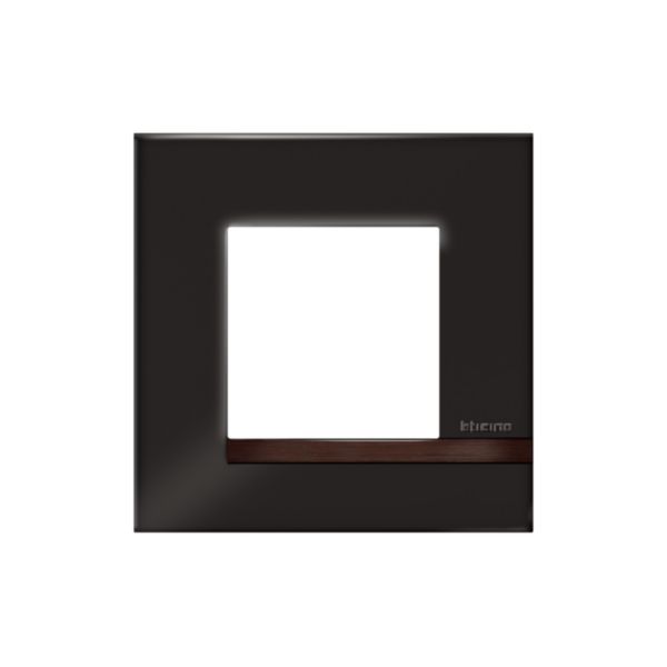 Plaque Altège Collection Déco 1 poste finition Onyx - noir brillant avec liseré bois foncé