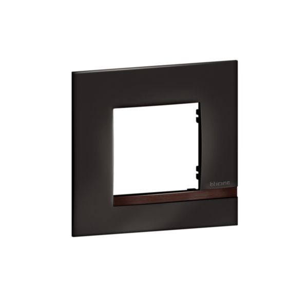 Plaque Altège Collection Déco 1 poste finition Onyx - noir brillant avec liseré bois foncé - Page 7