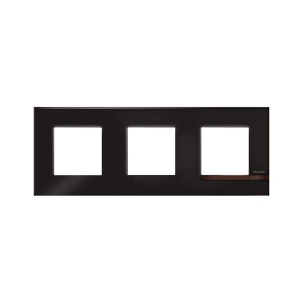 Plaque Altège Collection Déco 3 postes finition Onyx - noir brillant avec liseré bois foncé