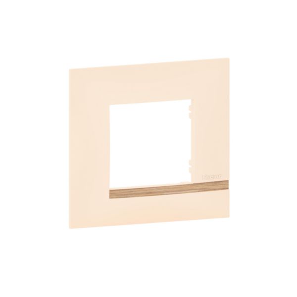 Plaque Altège Collection Déco 1 poste finition Sable - sable satiné avec liseré effet bois - Page 7