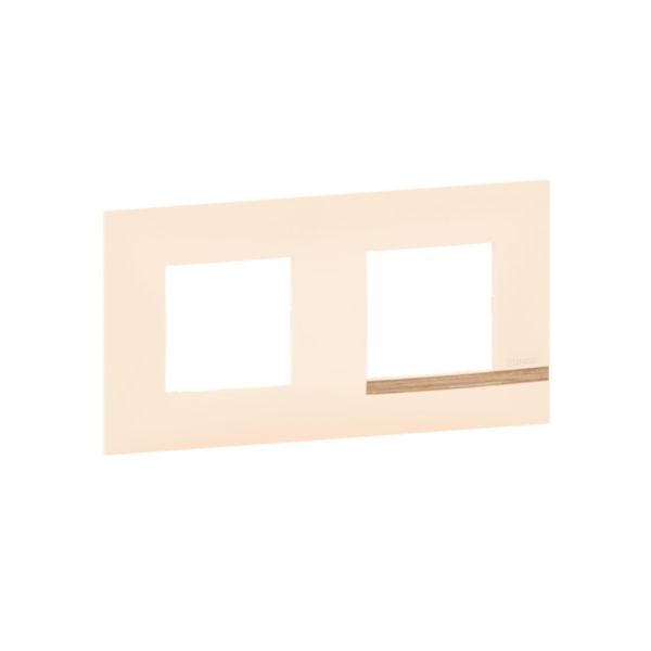 Plaque Altège Collection Déco 2 postes finition Sable - sable satiné avec liseré effet bois