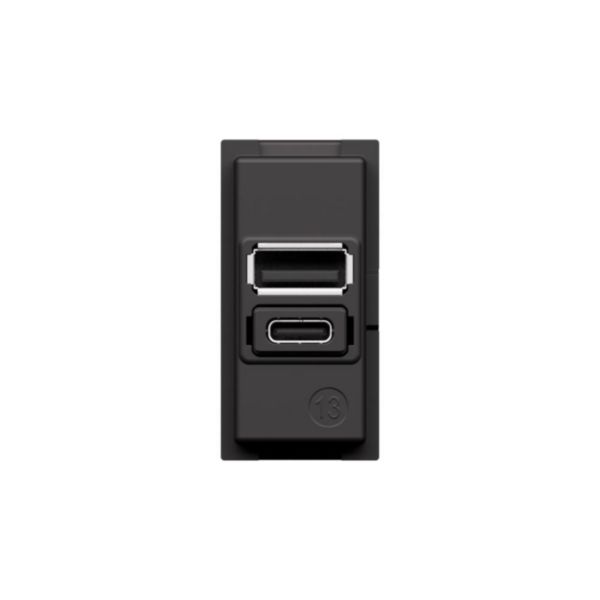Prise USB Type A+C Living Now - 20W Power Delivery - 1 module - Noir