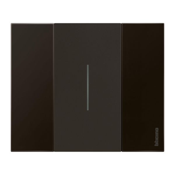 Plaque de finition Living Now Collection Les Noirs matière polymère 2 modules - finition Nuit
