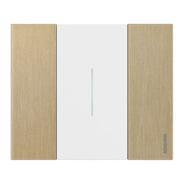 Plaque de finition Living Now Collection Les Blancs matière zamak 2 modules - finition Or