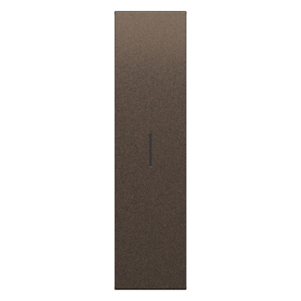 Enjoliveur interrupteur 1 module Living Now bronze