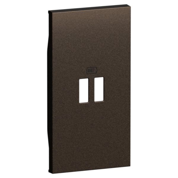 Enjoliveur prise USB 2 modules Living Now bronze