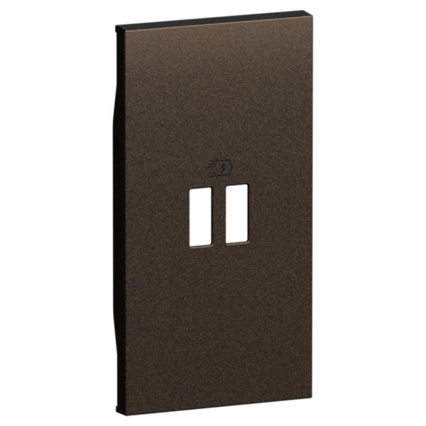 Enjoliveur prise USB Power Delivery 2 modules Living Now bronze