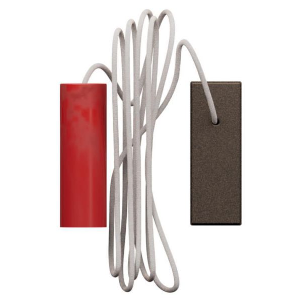 Bouton poussoir sans tirette Living Now 10A - Bronze
