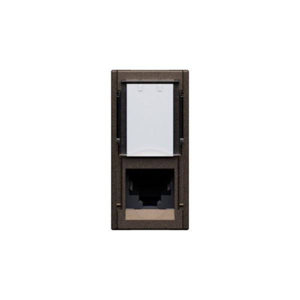 Prise RJ45 catégorie 6 FTP Living Now pour applications Grade 1 et Grade 2 avec enjoliveur Bronze - 1 module