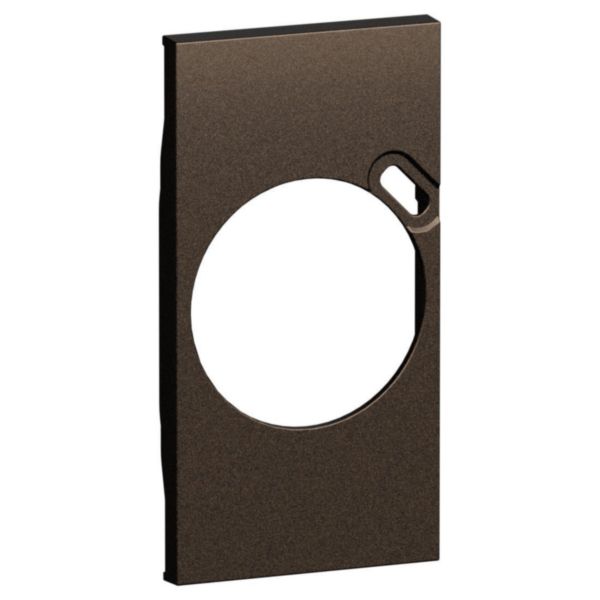Enjoliveur prise GER + USB 2 modules Living Now bronze