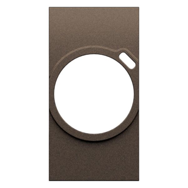 Plastron finition prise surface + USB-C Living Now bronze