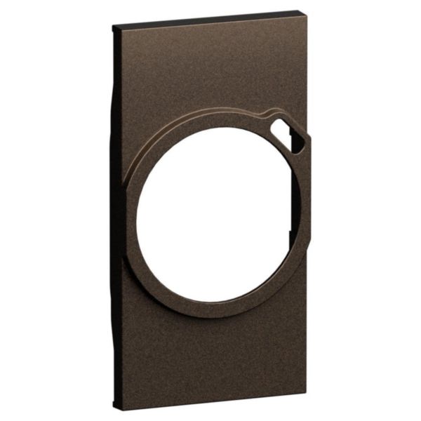 Plastron finition prise surface + USB-C Living Now bronze