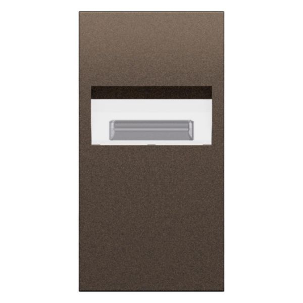 Enjoliveur liseuse 2 modules Living Now bronze