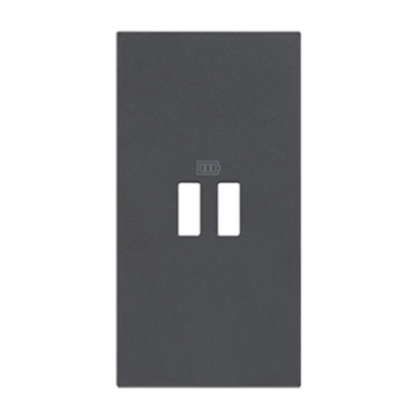 Enjoliveur Living Now pour prises USB 2 modules - noir mat
