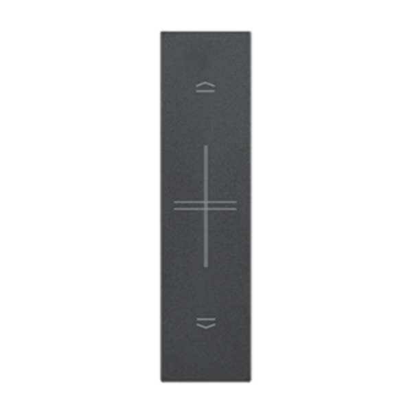 Enjoliveur Living Now with Netatmo pour interrupteur et commande de volets roulants 1 module - noir mat