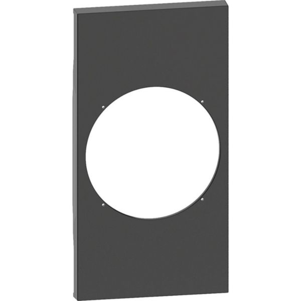 Plastron de finition Living Now with Netatmo pour prise connectée 2 modules - noir mat