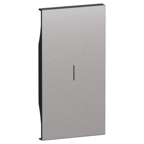 Enjoliveur interrupteur 2 modules Living Now acier