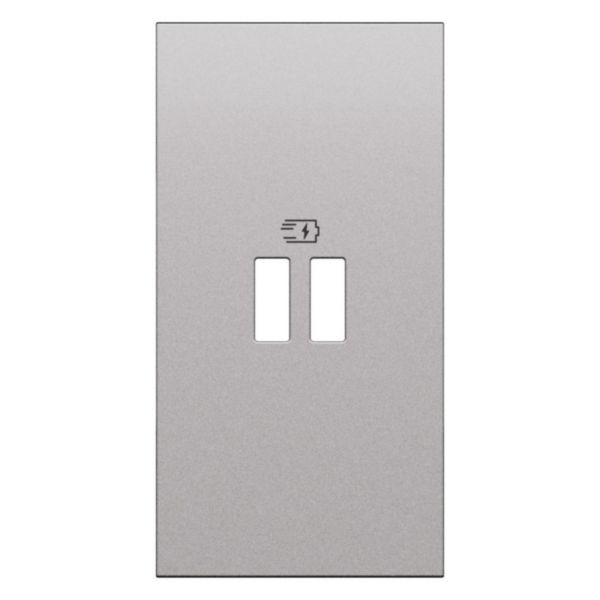 Enjoliveur prise USB Power Delivery 2 modules Living Now acier