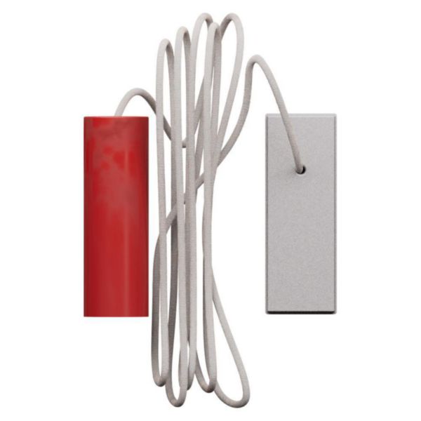 Bouton poussoir sans tirette Living Now 10A - Acier