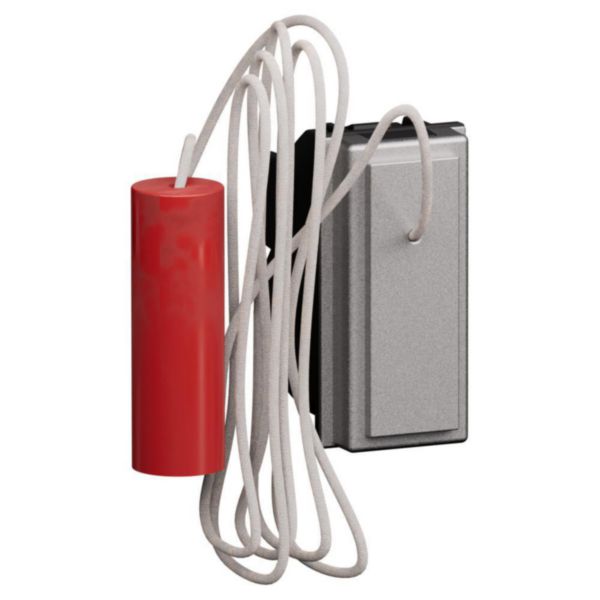 Bouton poussoir sans tirette Living Now 10A - Acier