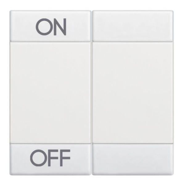 Manette Livinglight symbole ON et OFF 2 modules - blanc