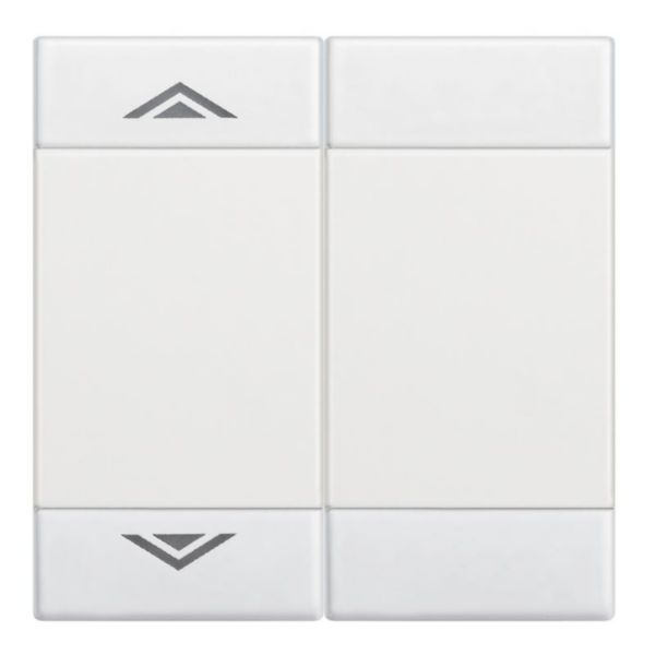 Manette Livinglight symbole montée et descente 2 modules - blanc