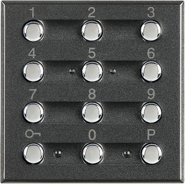 Clavier codé axolute myhome bus pour alarme intrusion - anthacite