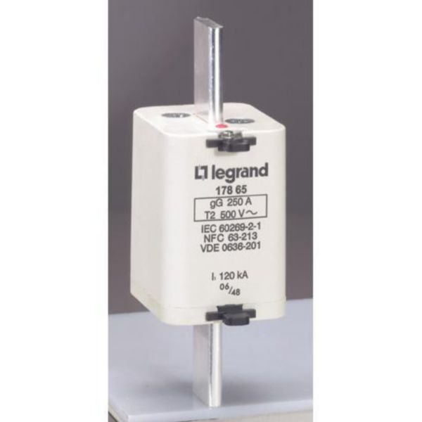 Cartouche industrielle à couteau typegG taille 1 - avec voyant - 125A