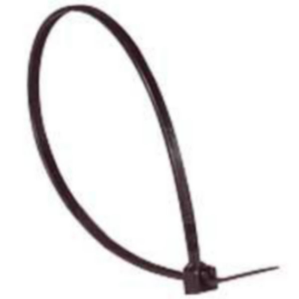 Collier Colring noir à denture intérieure largeur 3,5mm et longueur à plat 360mm