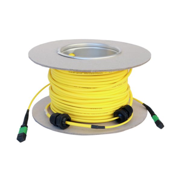 Microcâble OS2 MTP LCS³ 12 fibres - MTP et MTP - longueur 30m - Page 10