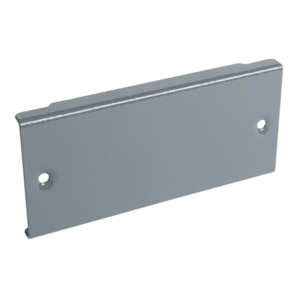 Jeu de 2 trappes pleines latérales hauteur 100mm pour socle Altis 300mm