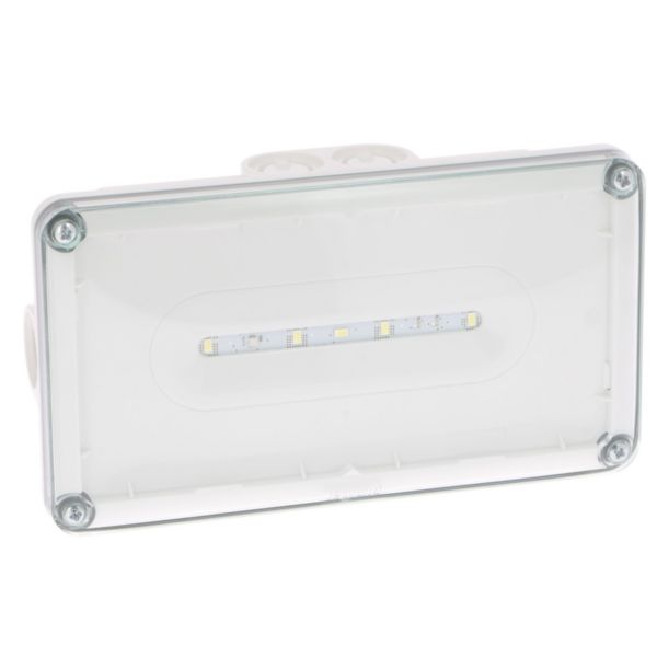 Luminaire sur source centralisée d'évacuation saillie à LEDs 45lm IP66 IK10 plastique tension 24V=