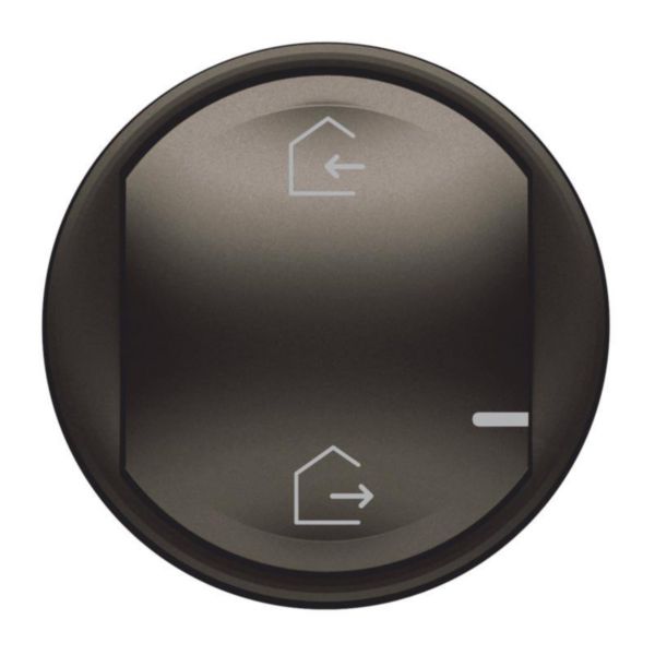 Enjoliveur de remplacement Céliane with Netatmo pour commande générale sans fils Départ/Arrivée - graphite