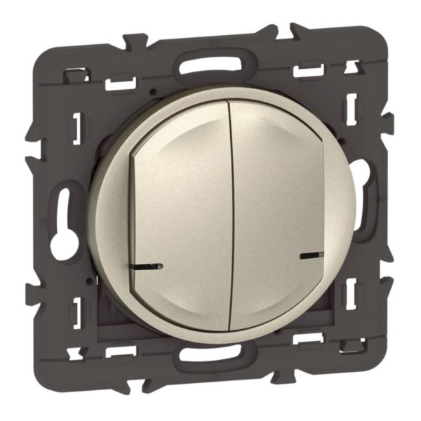 Commande double sans fils Céliane with Netatmo pour éclairage et prise connectés - titane sans plaque