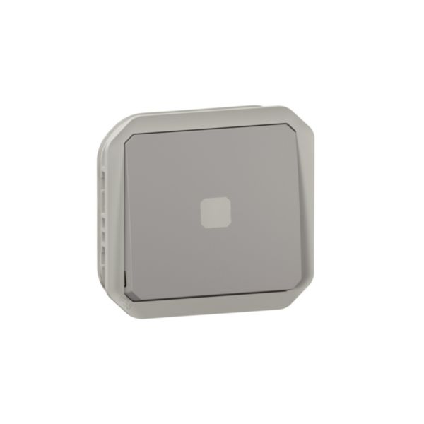 Interrupteur ou va-et-vient témoin sans neutre avec voyant étanche Plexo 4AX 250V~ IP55 IK08 enjoliveur finition gris