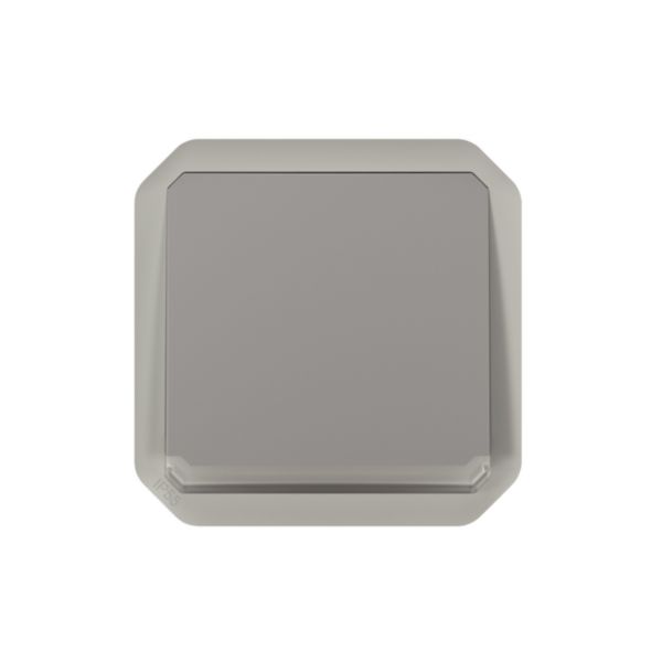 Poussoir NO lumineux avec voyant étanche Plexo 10A IP55 IK08 avec enjoliveur finition gris