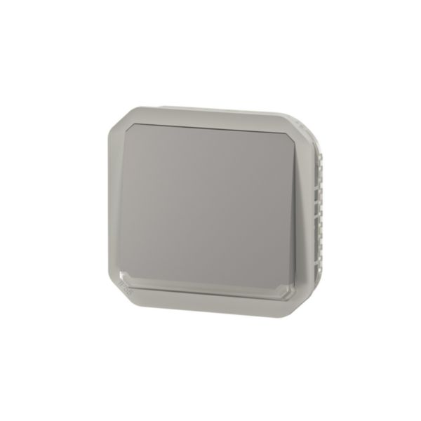 Poussoir NO lumineux avec voyant étanche Plexo 10A IP55 IK08 avec enjoliveur finition gris