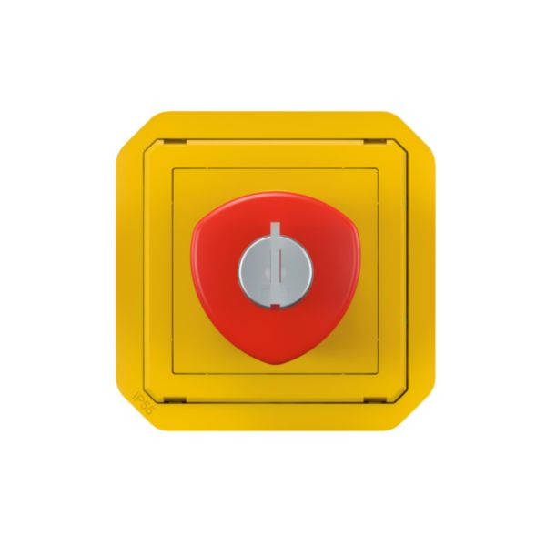 Coup de poing d'urgence poussoir déverrouillage à clé étanche Plexo IP55 avec enjoliveur jaune et bouton rouge: th_LG-069548L-WEB-F.jpg