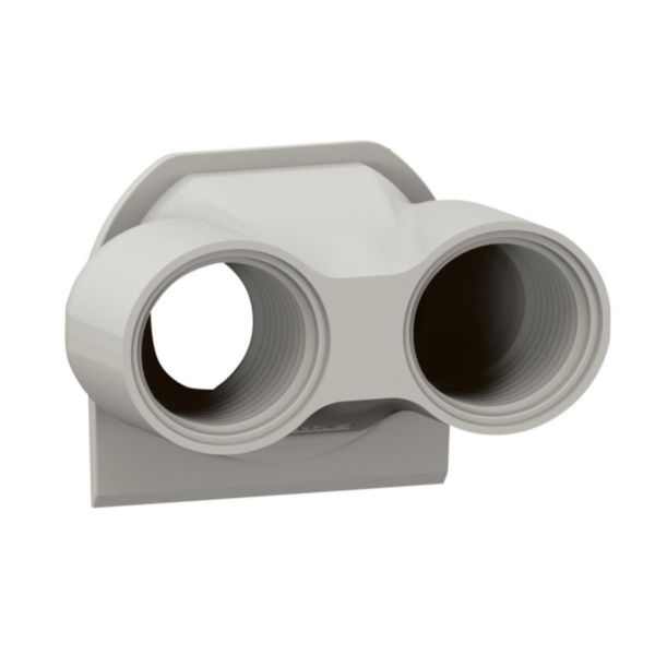 Embout presse-étoupe de remplacement pour boîtier saillie étanche Plexo 2 entrées filetage ISO20 - gris