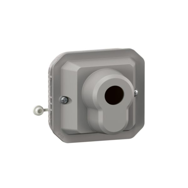 Poussoir inverseur à clé accès sécurisé 3 positions avec arrêt étanche Plexo 10A 250V avec enjoliveur finition gris