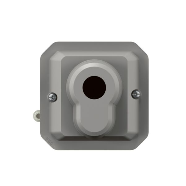 Interrupteur à clé accès sécurisé 2 positions 1 contact bipolaire étanche Plexo 10A 250V avec enjoliveur finition gris