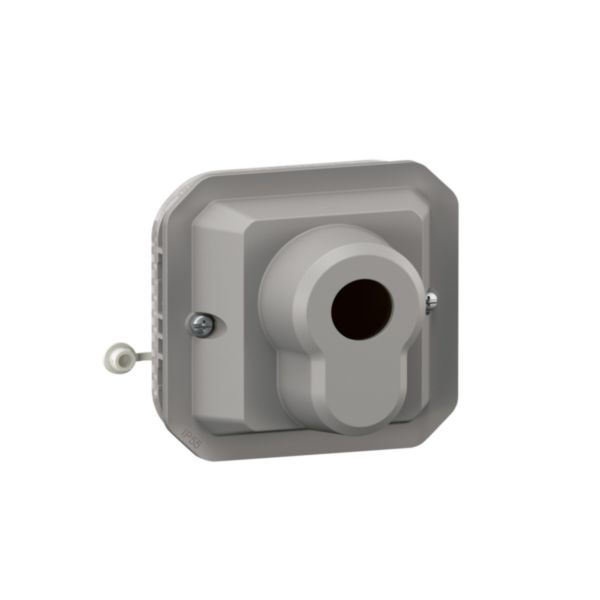Interrupteur à clé accès sécurisé 2 positions 1 contact bipolaire étanche Plexo 10A 250V avec enjoliveur finition gris