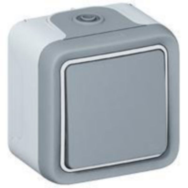 Interrupteur ou va-et-vient étanche Plexo complet IP55 saillie 10AX 250V