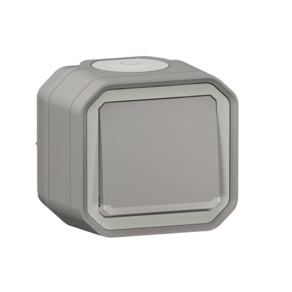 Poussoir NO lumineux avec voyant étanche Plexo 10A IP55 IK08 livré complet pour fixation saillie - gris