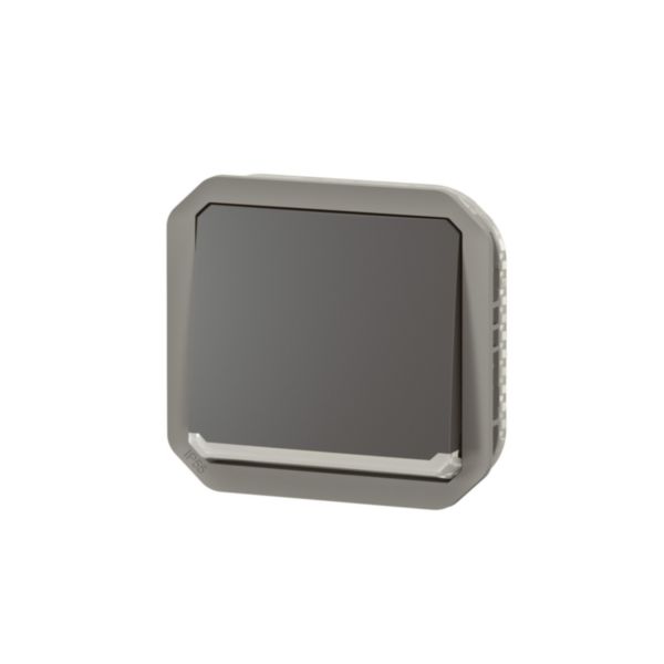 Interrupteur bipolaire étanche Plexo 10AX 250V IP55 IK08 avec enjoliveur anthracite