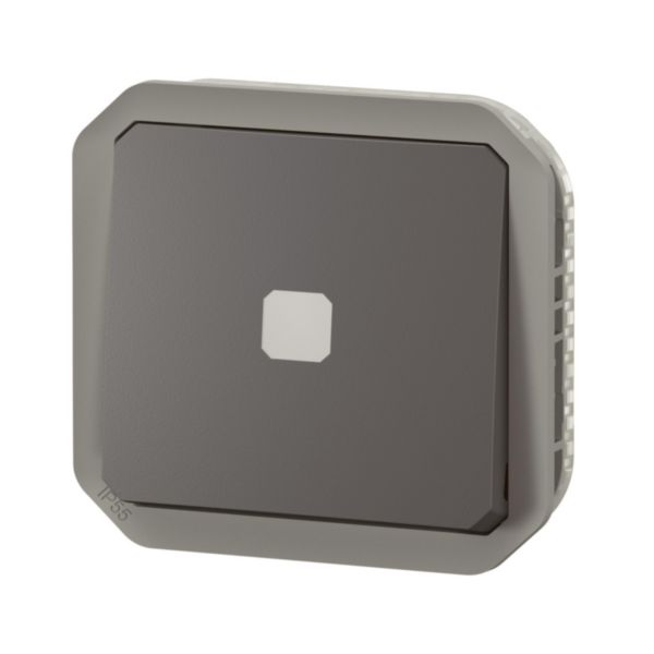 Interrupteur temporisé lumineux sans neutre étanche Plexo 230V 50Hz à 60Hz IP55 IK05 avec enjoliveur finition anthracite