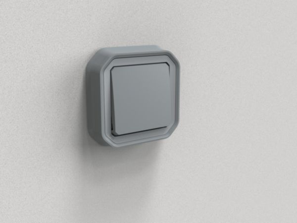 Interrupteur ou va-et-vient étanche Plexo 10AX 250V~ IP55 IK08 livré complet pour fixation en encastre - gris